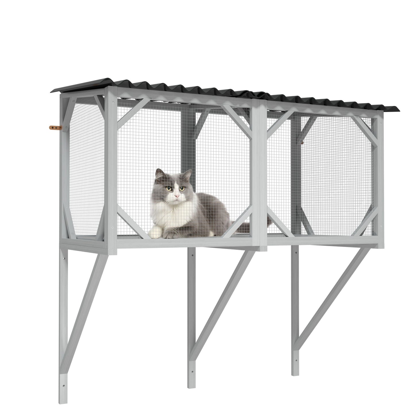Cat Window Box cage in gray metal frame with wire mesh and corrugated roof, cat inside on Tampa Home & Garden Store