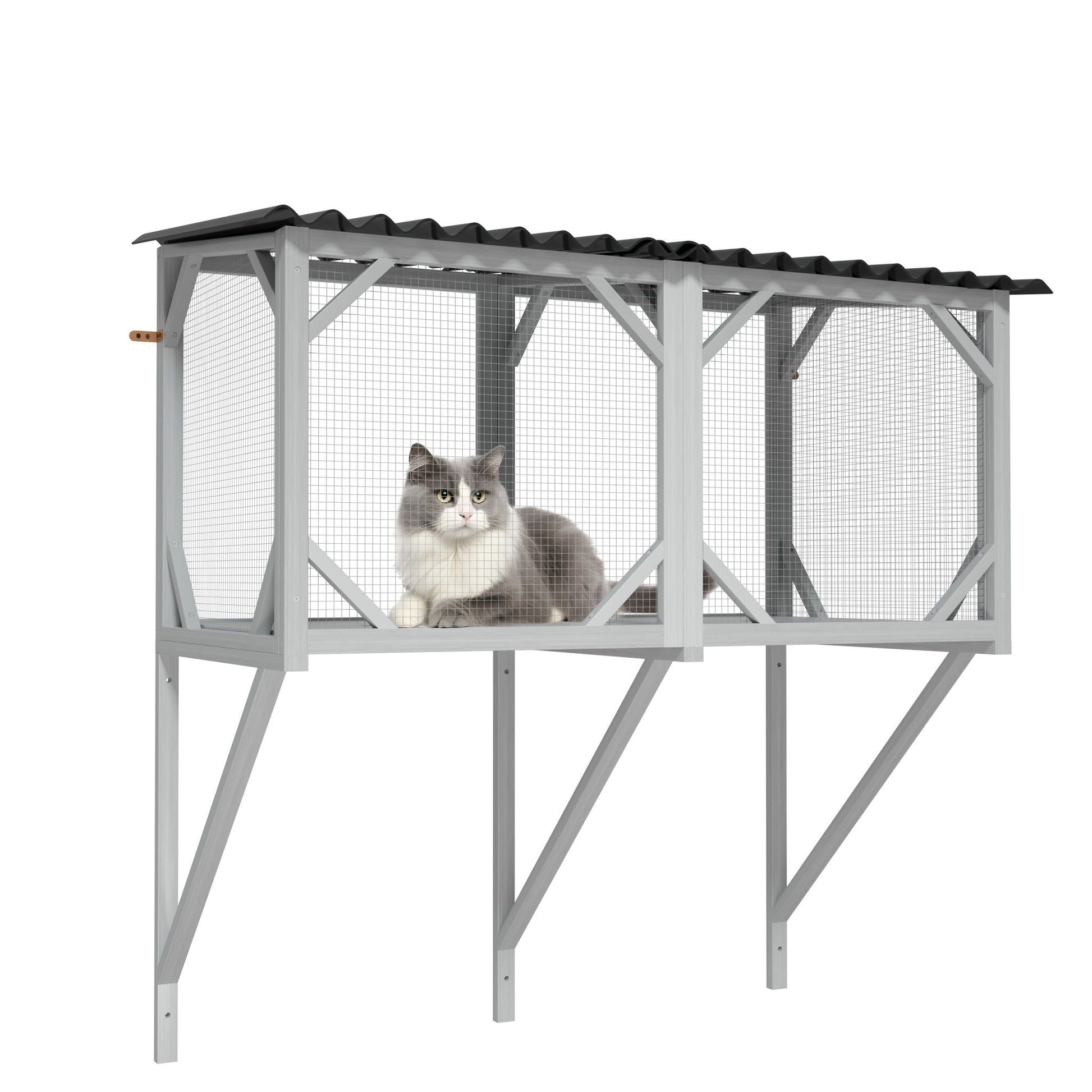 Cat Window Box cage in gray metal frame with wire mesh and corrugated roof, cat inside on Tampa Home & Garden Store