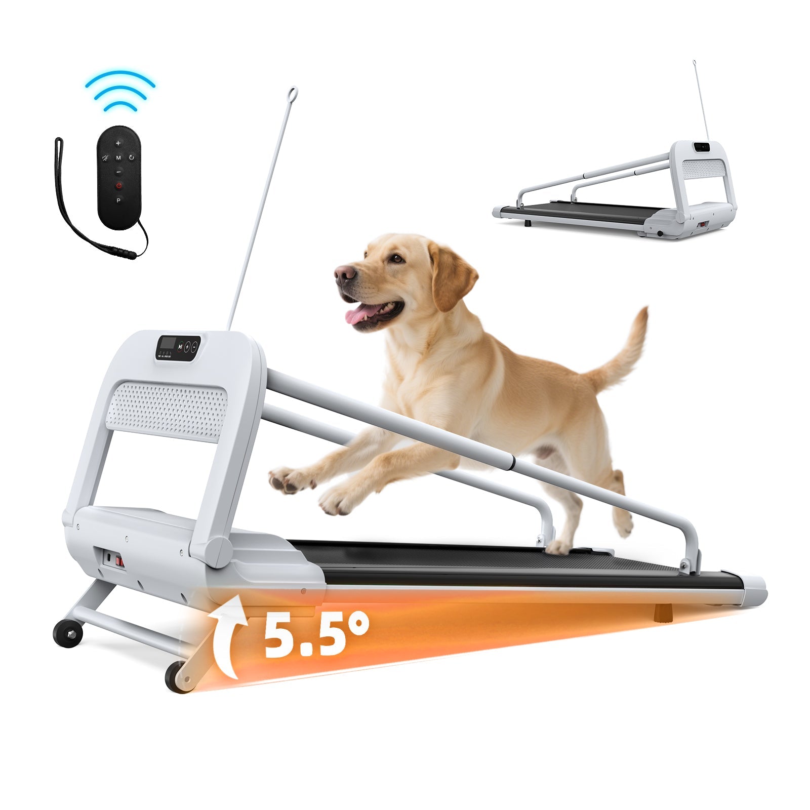 Pet treadmill by HouseOfZazla, 2025 Quiet Smart with remote, 5.5° incline, dog on belt on Tampa Home & Garden Store