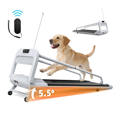 Pet treadmill by HouseOfZazla, 2025 Quiet Smart with remote, 5.5° incline, dog on belt on Tampa Home & Garden Store