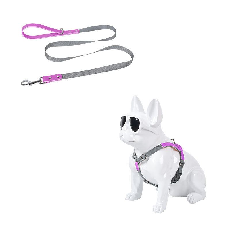 Leather dog chest harness and nylon leash set with gray straps and pink accents by Pet Zen on Tampa Home & Garden Store