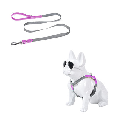 Leather dog chest harness and nylon leash set with gray straps and pink accents by Pet Zen on Tampa Home & Garden Store