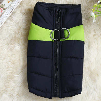 Pet Zen dog outdoor coat vest navy blue with lime green stripe, front zipper and D-ring hardware on Tampa Home & Garden Store