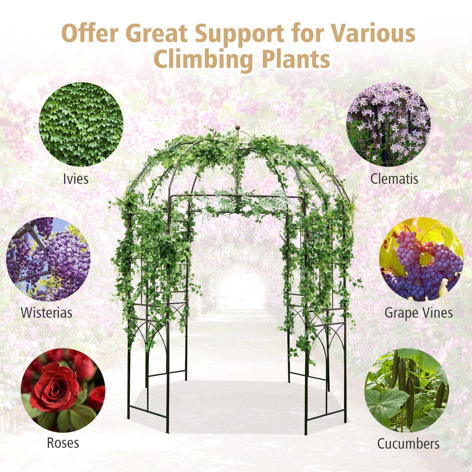 8.4 x 7 Feet Wide Birdcage Shape Garden Arbor - Tampa Home & Garden Store