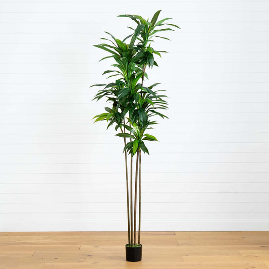 8’ Artificial Dracaena Tree with Real Touch Leaves - Tampa Home & Garden Store
