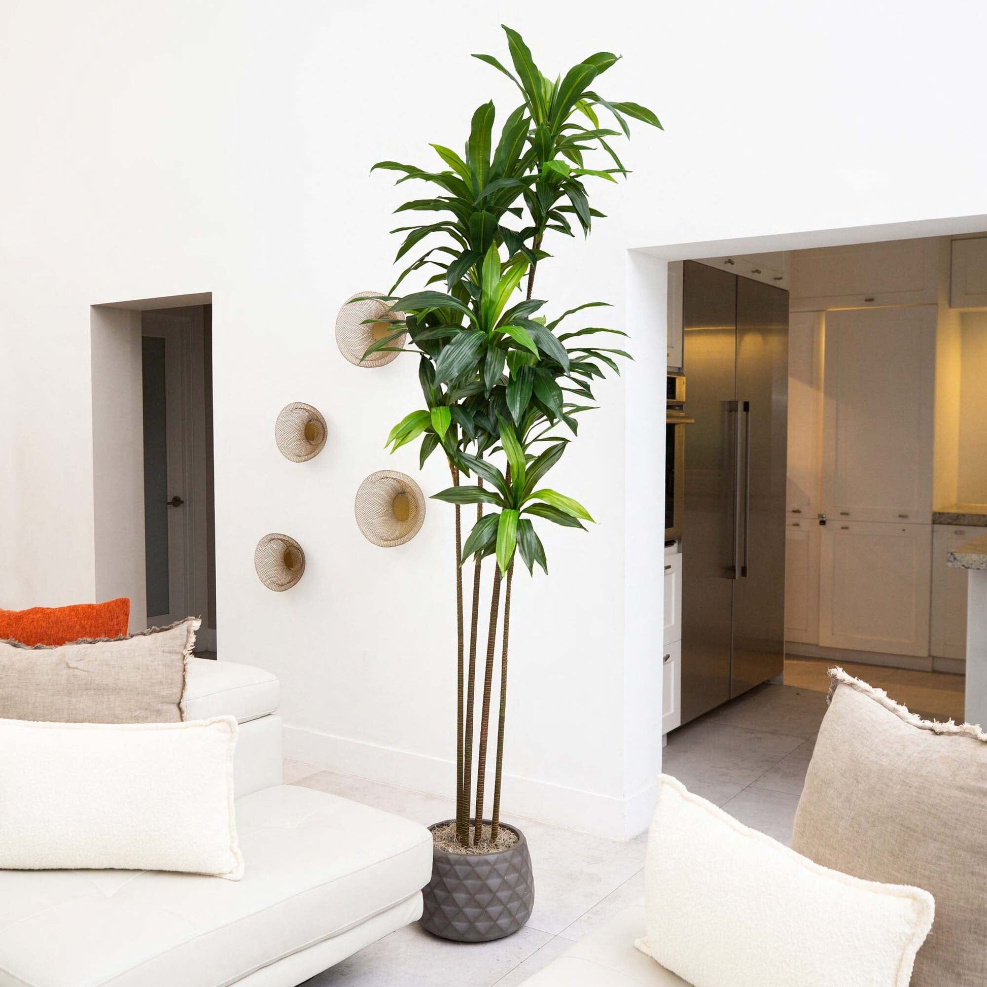 8’ Artificial Dracaena Tree with Real Touch Leaves - Tampa Home & Garden Store
