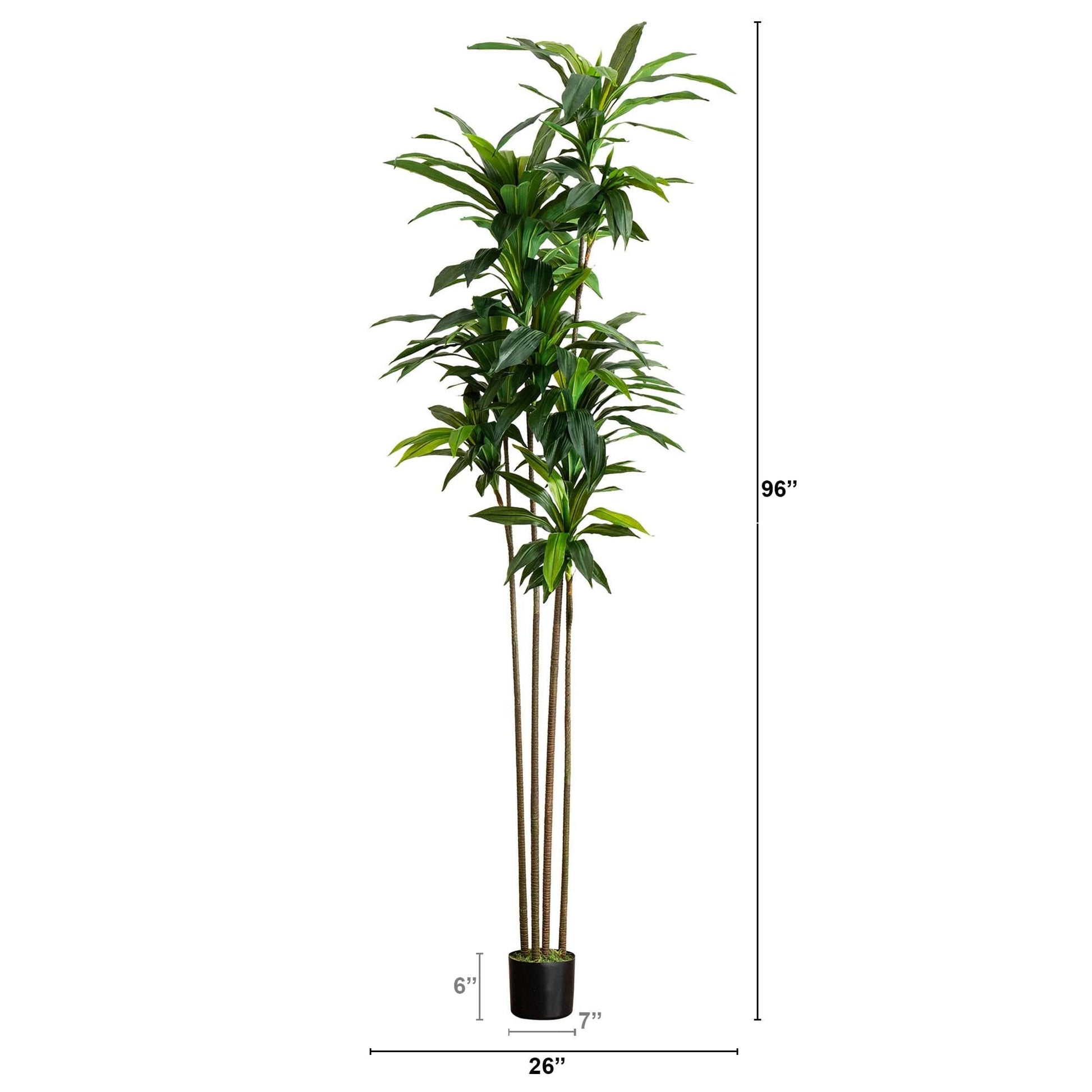 8’ Artificial Dracaena Tree with Real Touch Leaves - Tampa Home & Garden Store