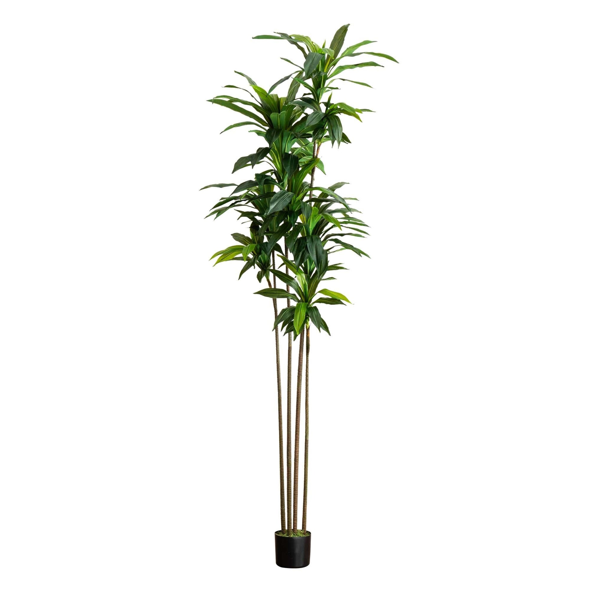 8’ Artificial Dracaena Tree with Real Touch Leaves - Tampa Home & Garden Store