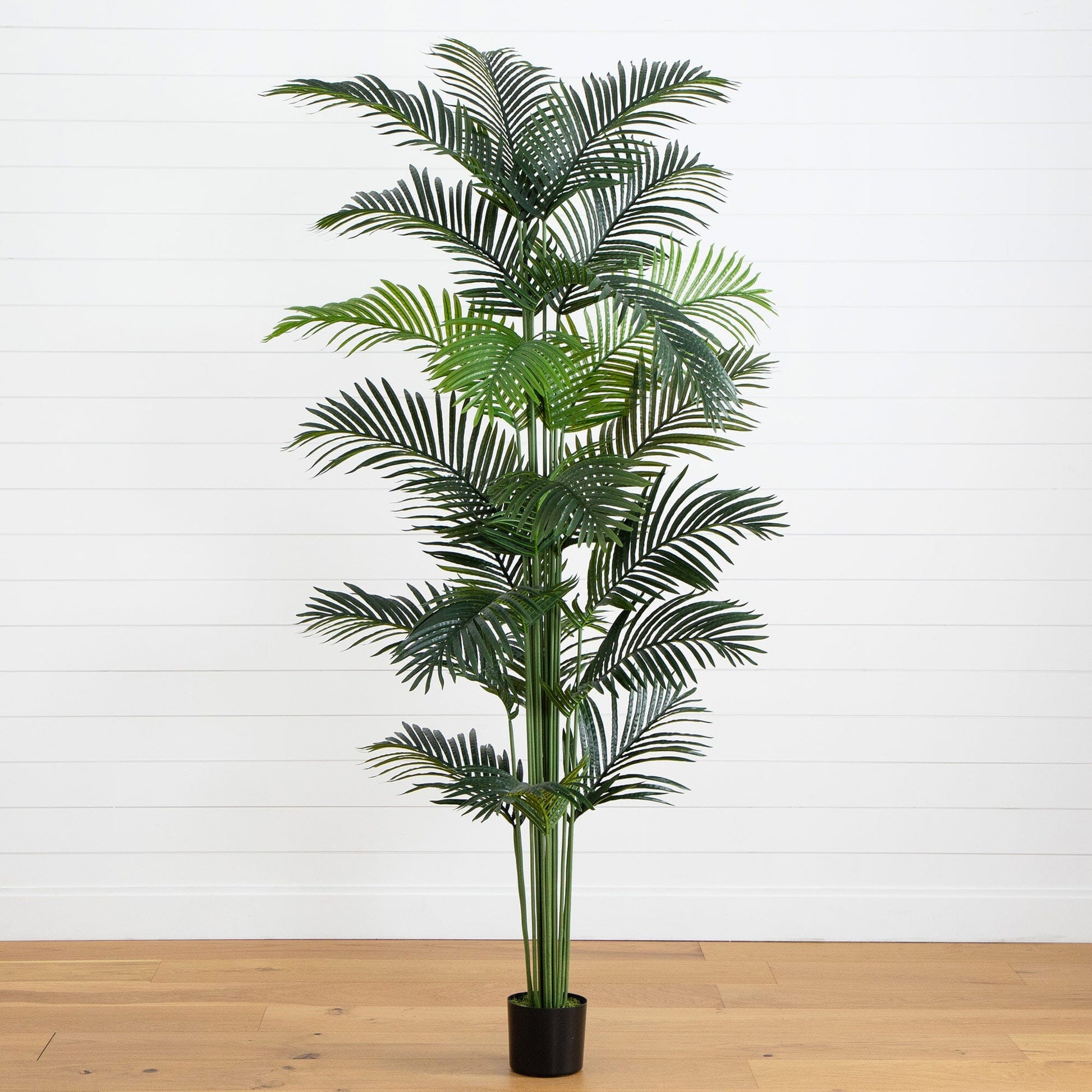 8’ Artificial Paradise Palm Tree - Tampa Home & Garden Store