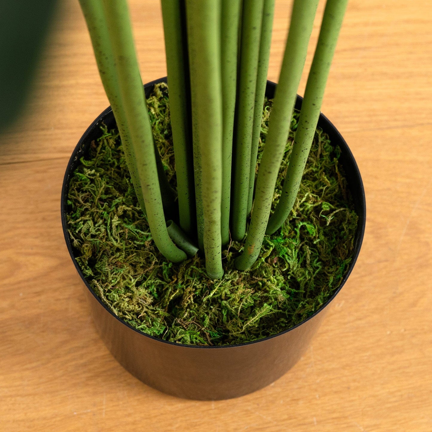 8’ Artificial Paradise Palm Tree - Tampa Home & Garden Store