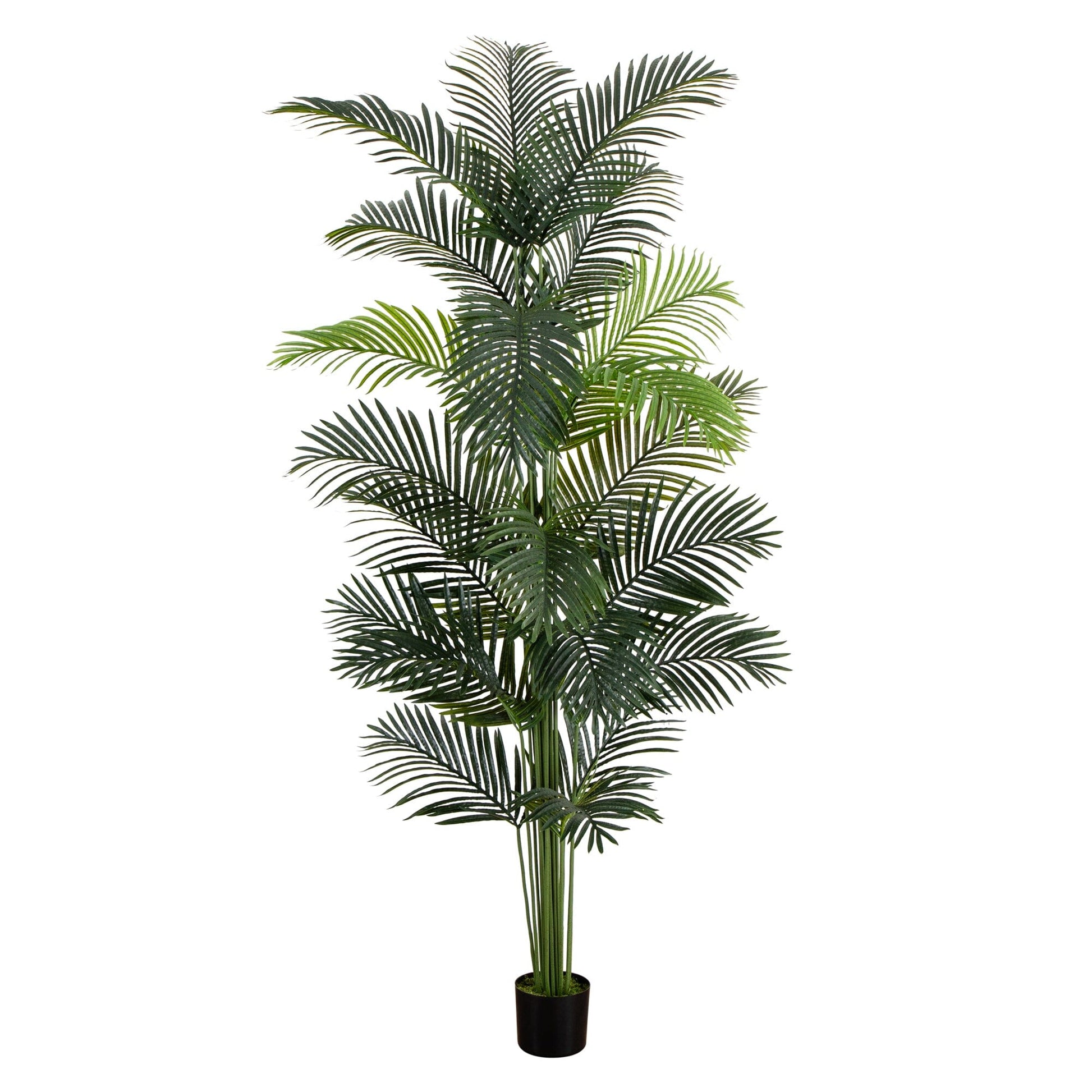 8’ Artificial Paradise Palm Tree - Tampa Home & Garden Store
