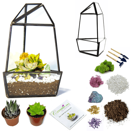 8” Obelisk Succulent Terrarium Kit |  Geometric Glass