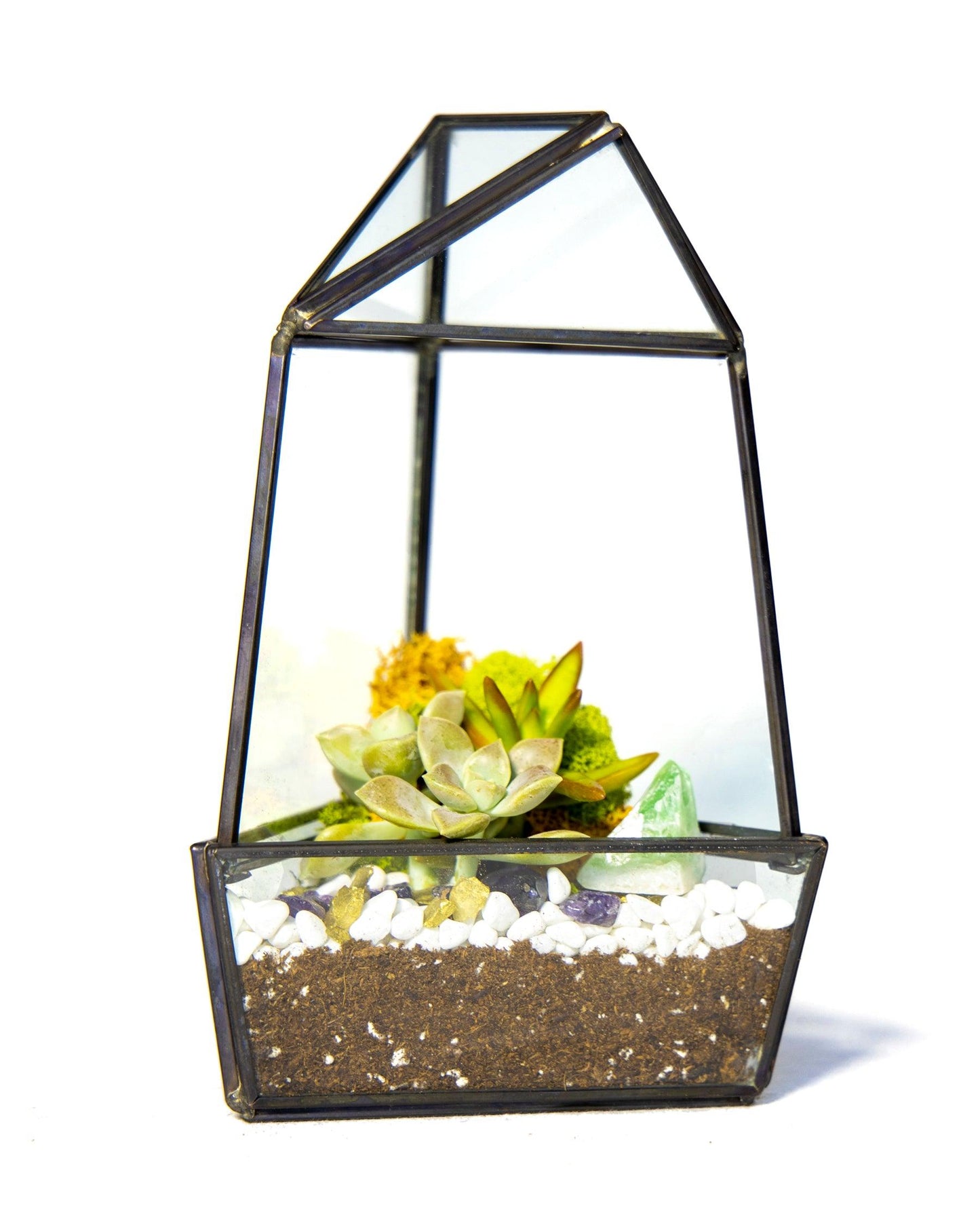 8” Obelisk Succulent Terrarium Kit |  Geometric Glass