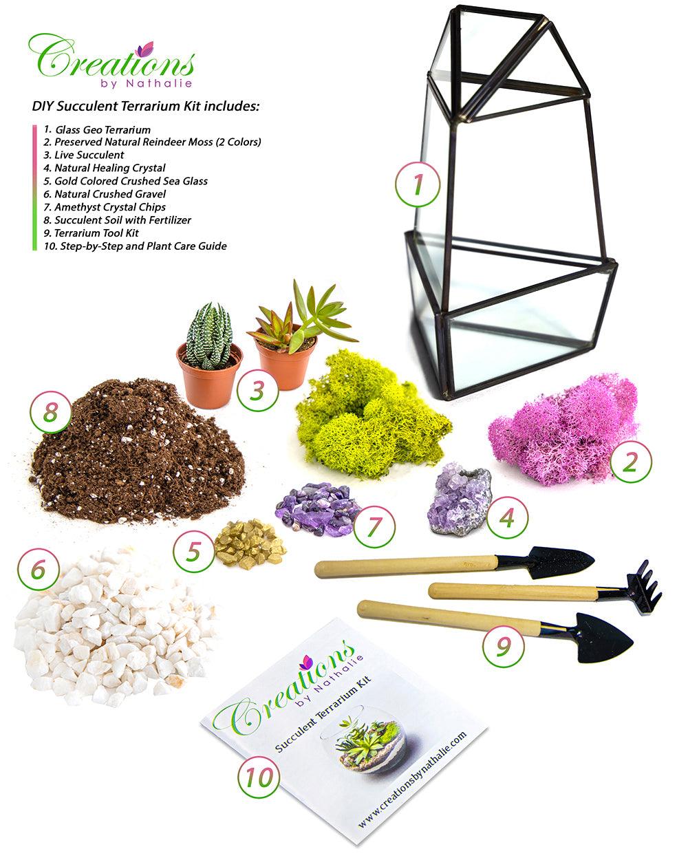 8” Obelisk Succulent Terrarium Kit |  Geometric Glass