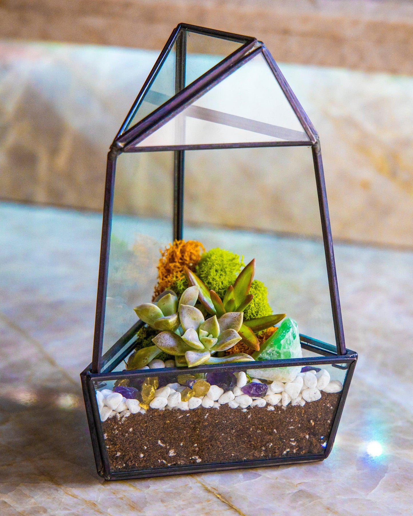 8” Obelisk Succulent Terrarium Kit |  Geometric Glass