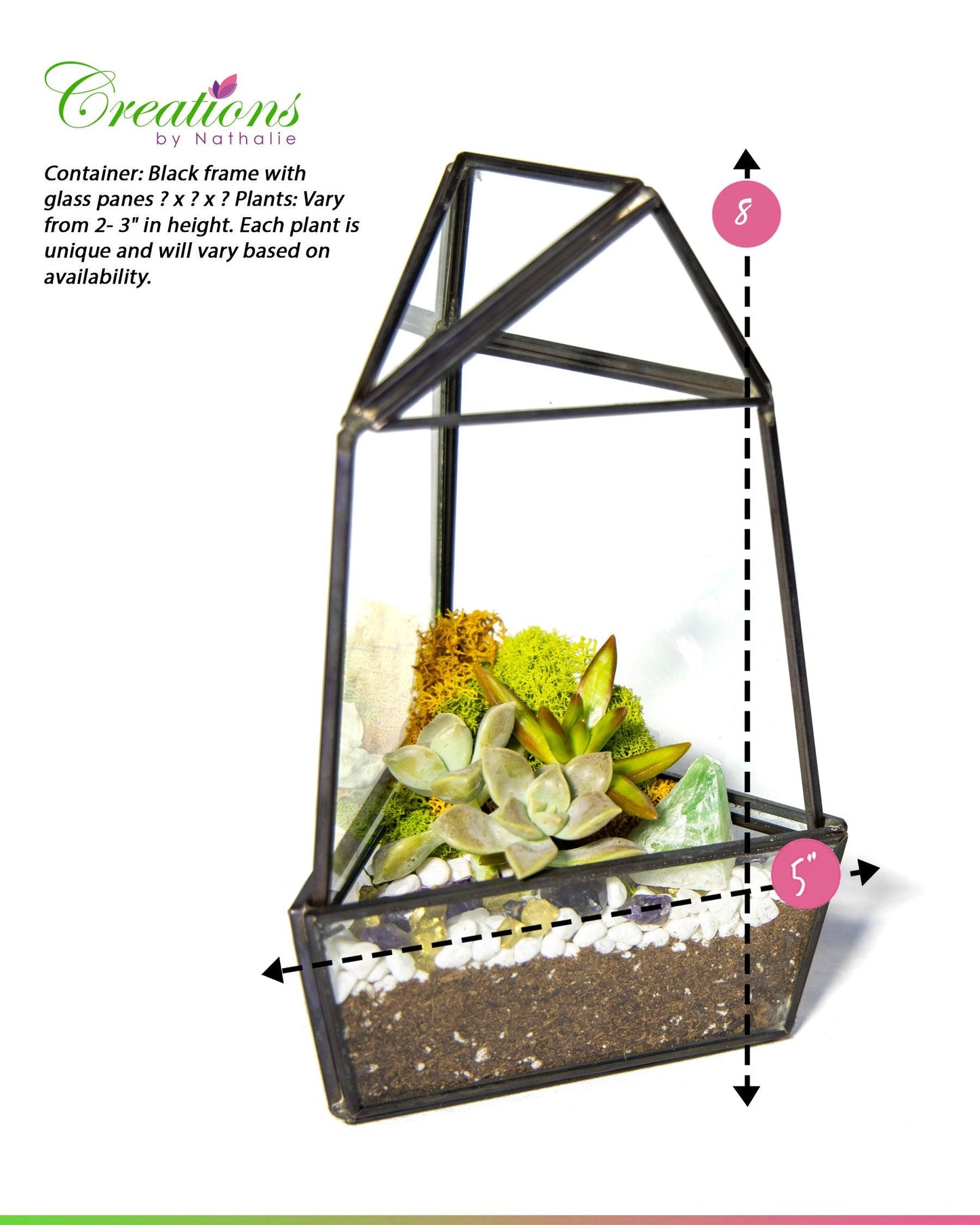 8” Obelisk Succulent Terrarium Kit |  Geometric Glass