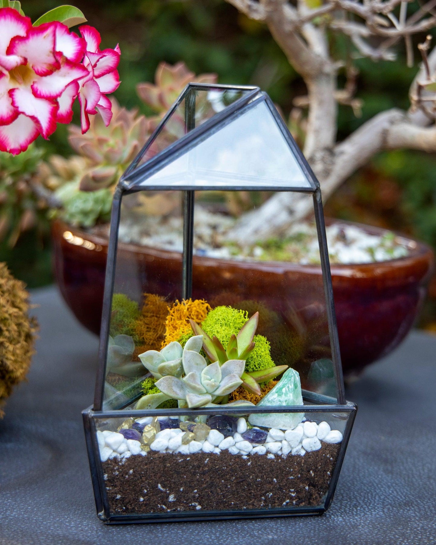 8” Obelisk Succulent Terrarium Kit |  Geometric Glass