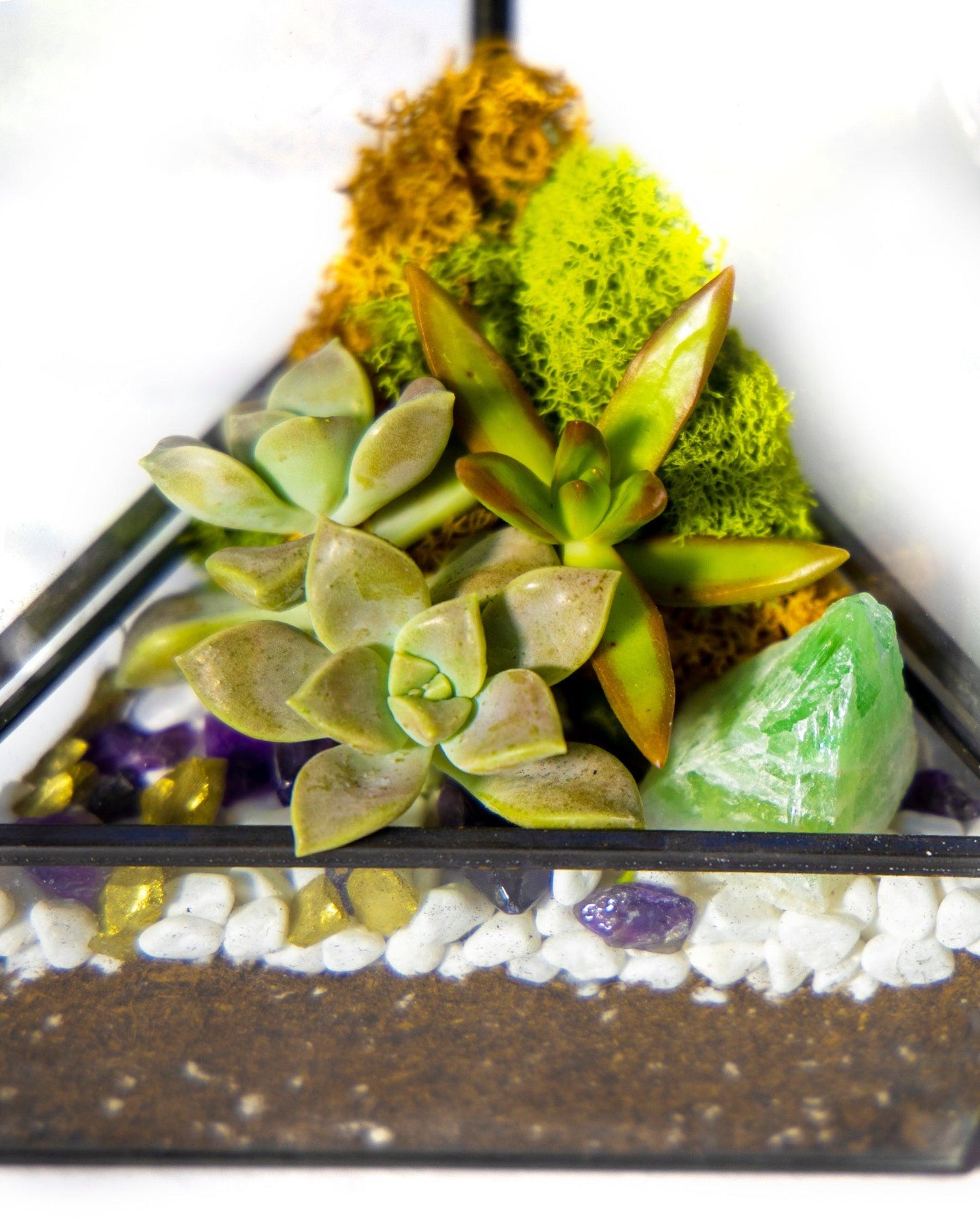 8” Obelisk Succulent Terrarium Kit |  Geometric Glass