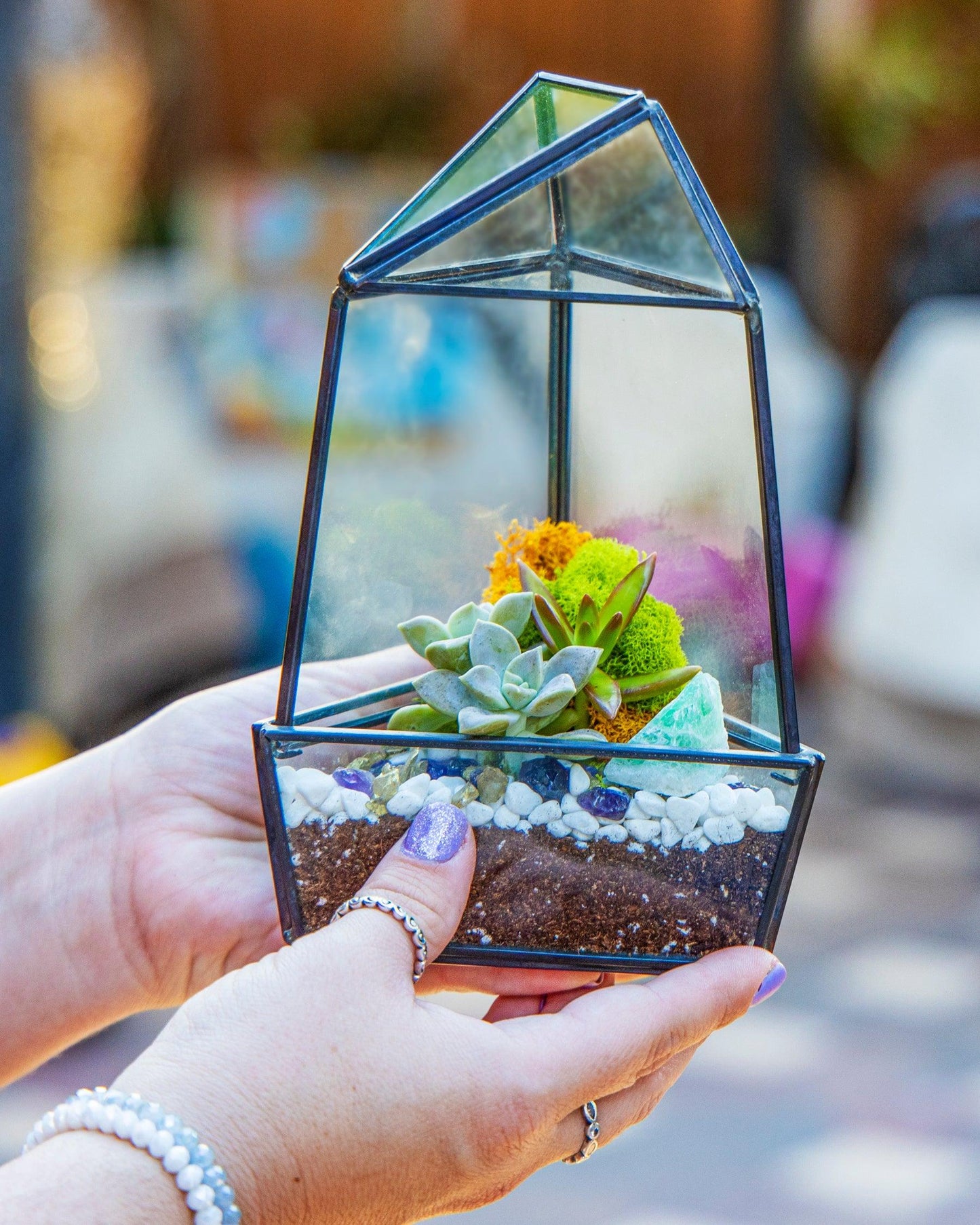 8” Obelisk Succulent Terrarium Kit |  Geometric Glass