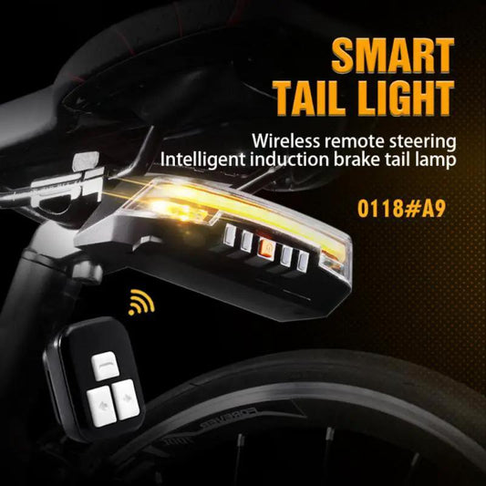 8-mode smart bike rear lamp with wireless remote, black USB taillight Stevvex on Tampa Home & Garden Store