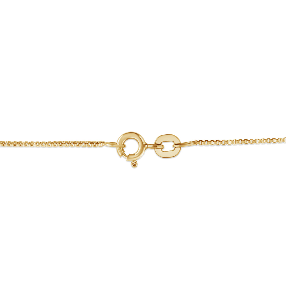 Gold-tone chain necklace close-up with circular ring clasp and interlocking links on Tampa Home & Garden Store