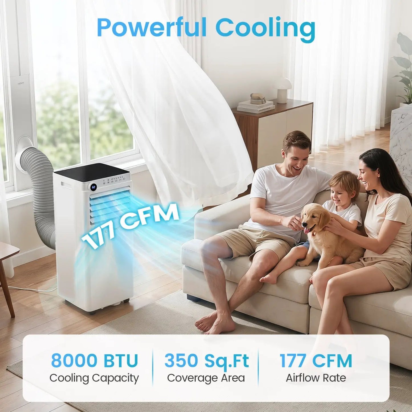 8000 BTU Air Conditioner With Dehumidifier