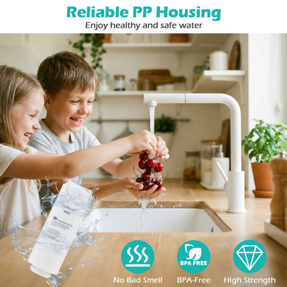 800 GPD Replacement RO Filter DirectDeals for AW-RB20/AW-RB05 in a kitchen with kids on Tampa Home & Garden Store