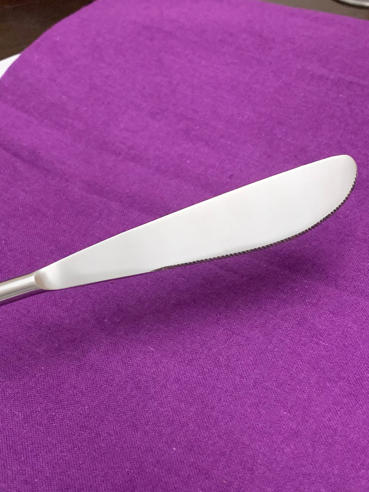 Vibhsa stainless steel table knife blade, serrated edge on purple fabric on Tampa Home & Garden Store