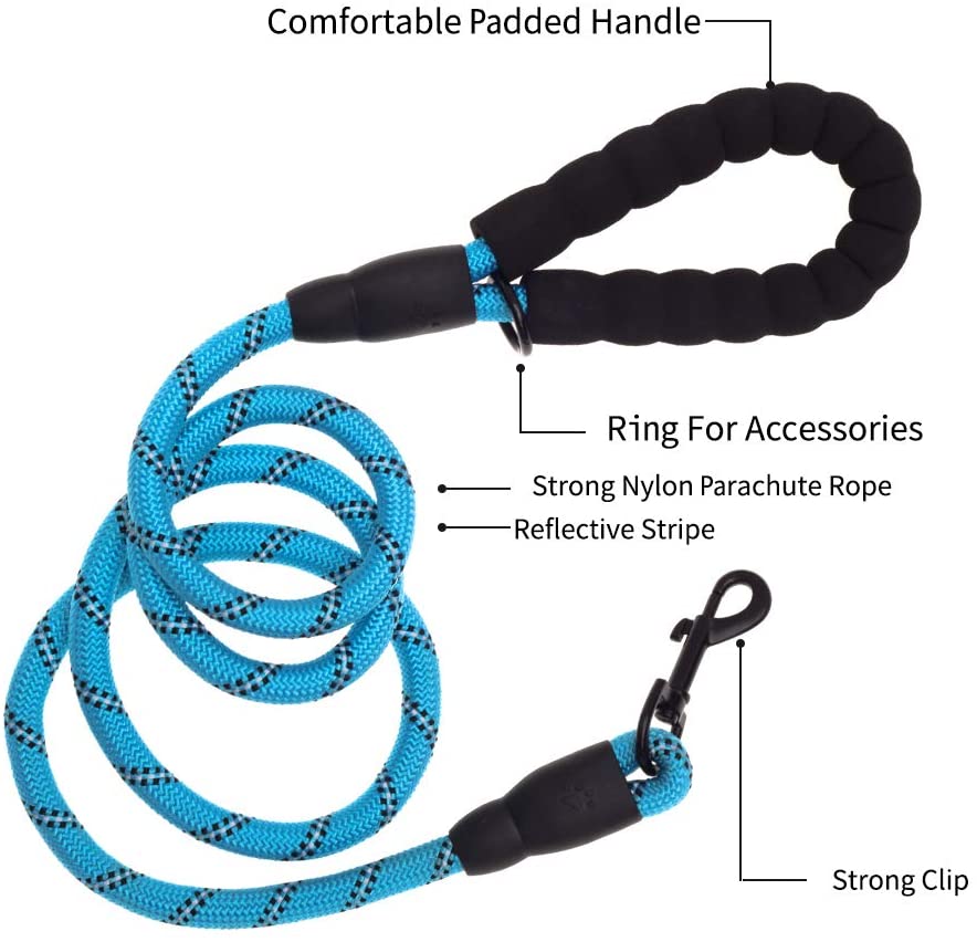 5 ft thick reflective nylon dog leash by Vibhsa with padded blue handle, ring and metal clip on Tampa Home & Garden Store