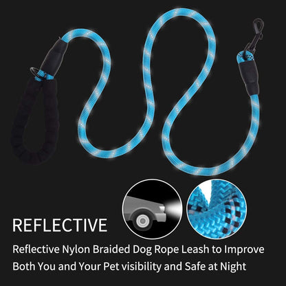 Reflective nylon braided dog leash, blue with padded handle, 5 ft, quick clip on Tampa Home & Garden Store