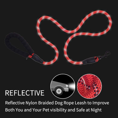 Vibhsa 5 ft thick reflective nylon braided dog leash red with loop handle and metal clip on Tampa Home & Garden Store