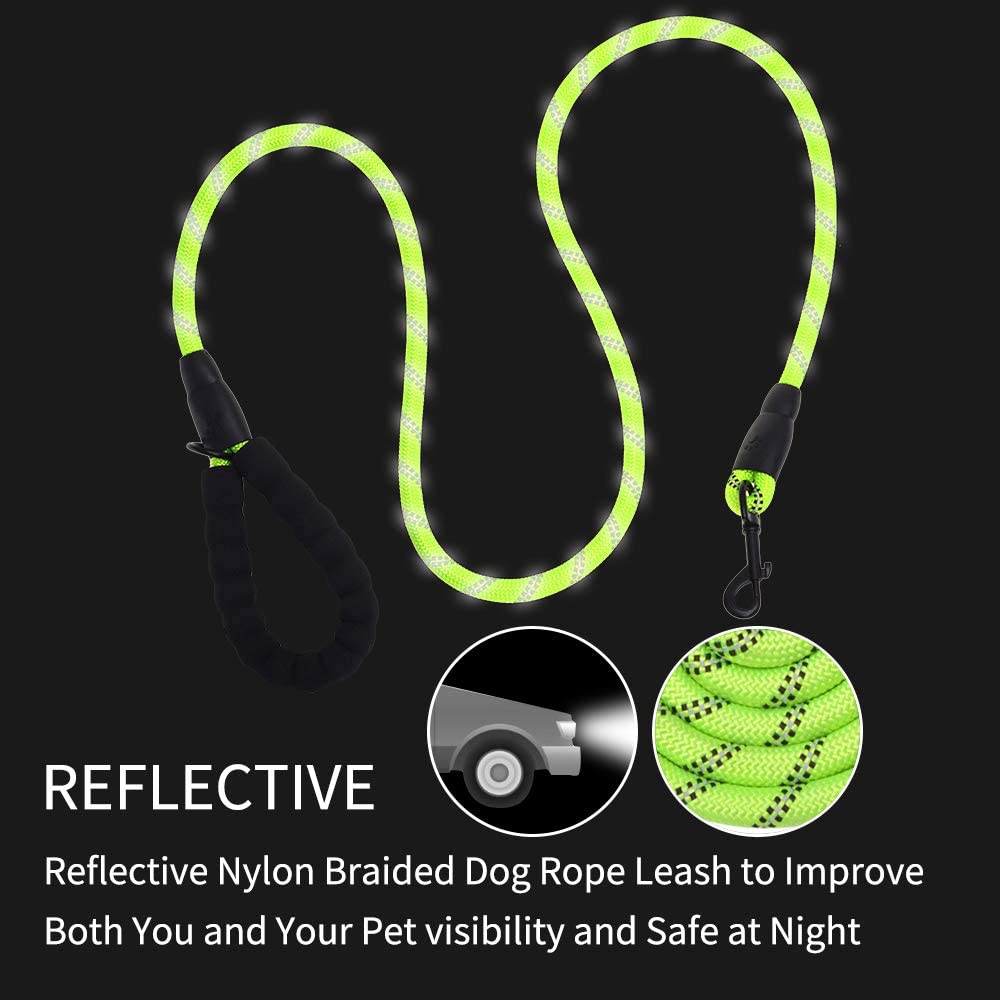 5 ft reflective nylon braided dog leash in neon green with loop handle and metal clip by Vibhsa on Tampa Home & Garden Store