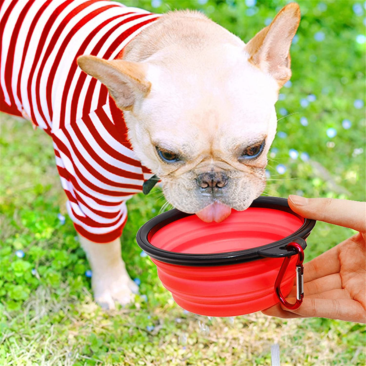 5in portable foldable red dog bowl by Vibhsa; collapsible pet feeder on Tampa Home & Garden Store