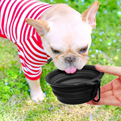 Vibhsa 5-inch portable foldable dog bowl, black collapsible with carabiner, outdoors beside dog on Tampa Home & Garden Store