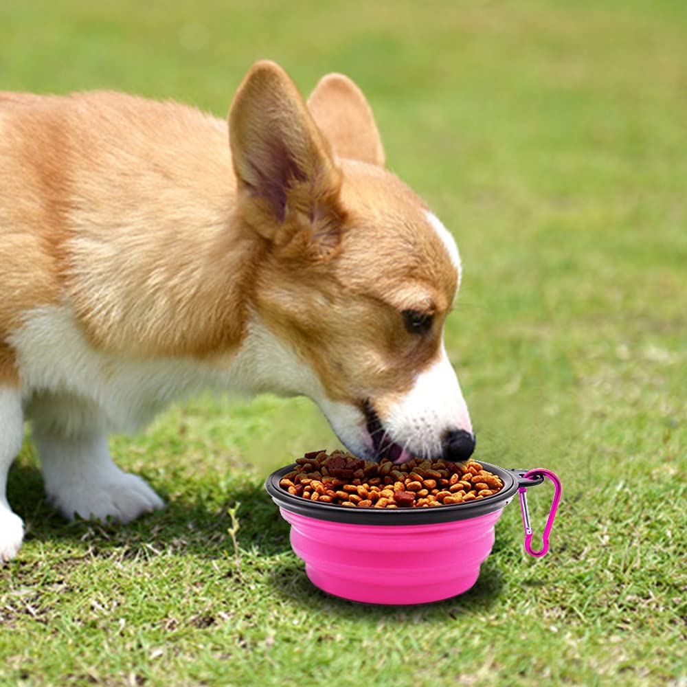 5-inch pink portable foldable dog bowl by Vibhsa with purple carabiner, filled with kibble on Tampa Home & Garden Store