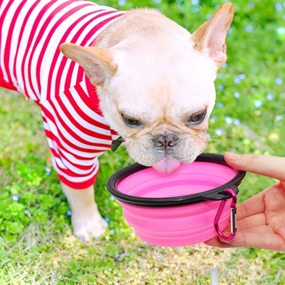 Foldable pink dog bowl set of 5 by Vibhsa with carabiner and black rim on Tampa Home & Garden Store