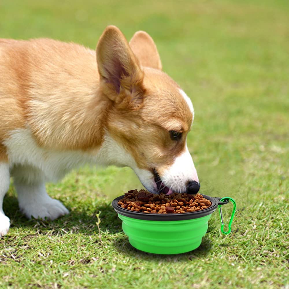 5in portable foldable green dog bowl set of 5 by Vibhsa, with carabiner, corgi eating outdoors on Tampa Home & Garden Store
