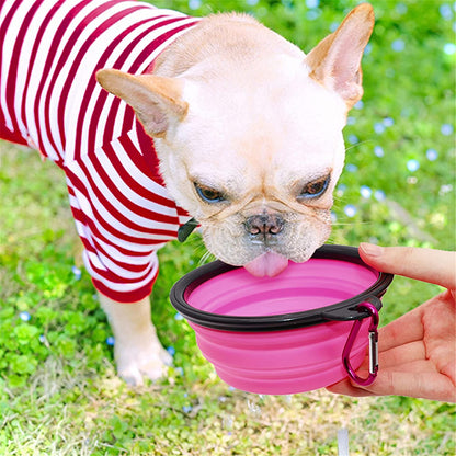 5in portable foldable dog bowls purple set of 5 Vibhsa on Tampa Home & Garden Store