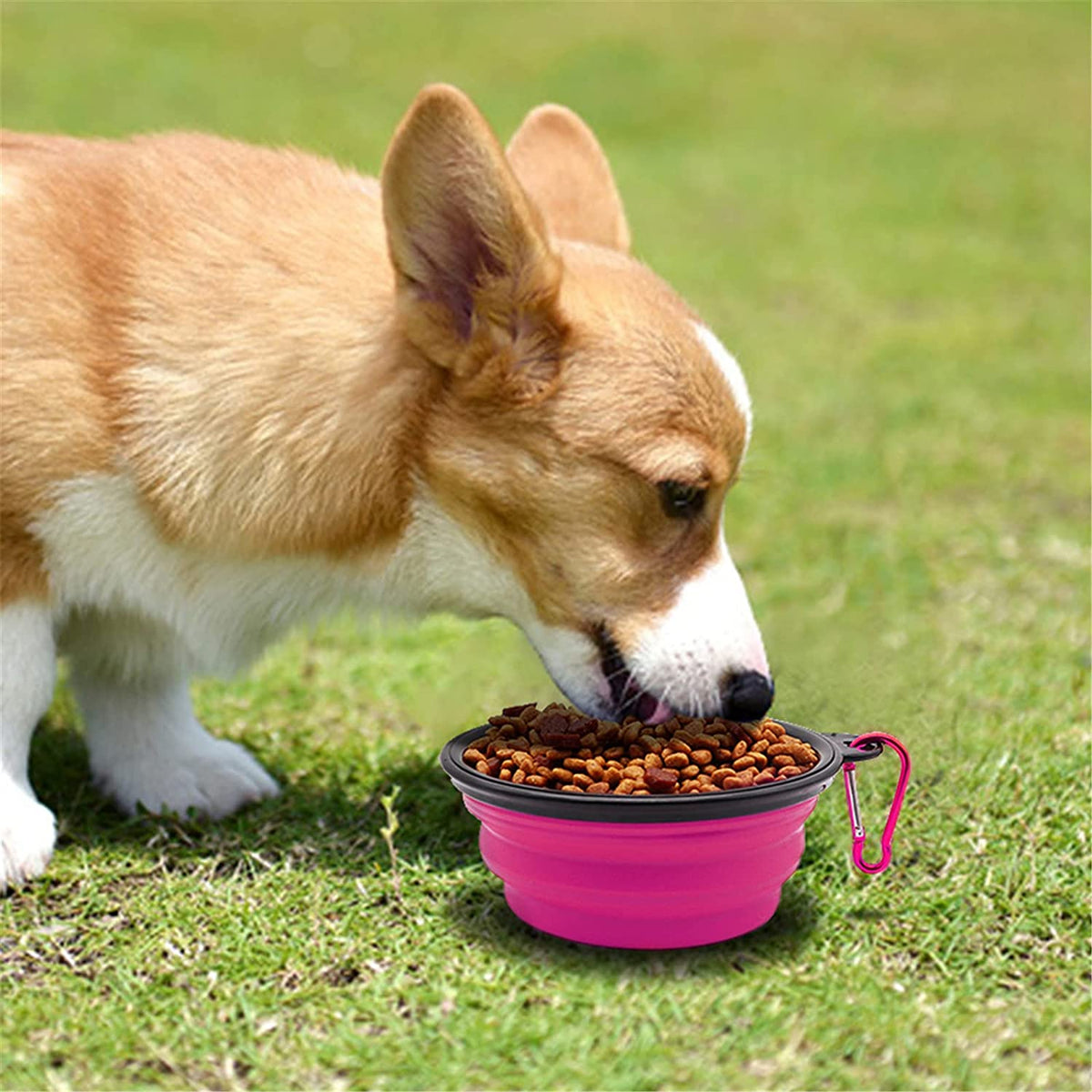 Vibhsa 5in foldable small dog bowls set of 5, pink collapsible with carabiner on Tampa Home & Garden Store
