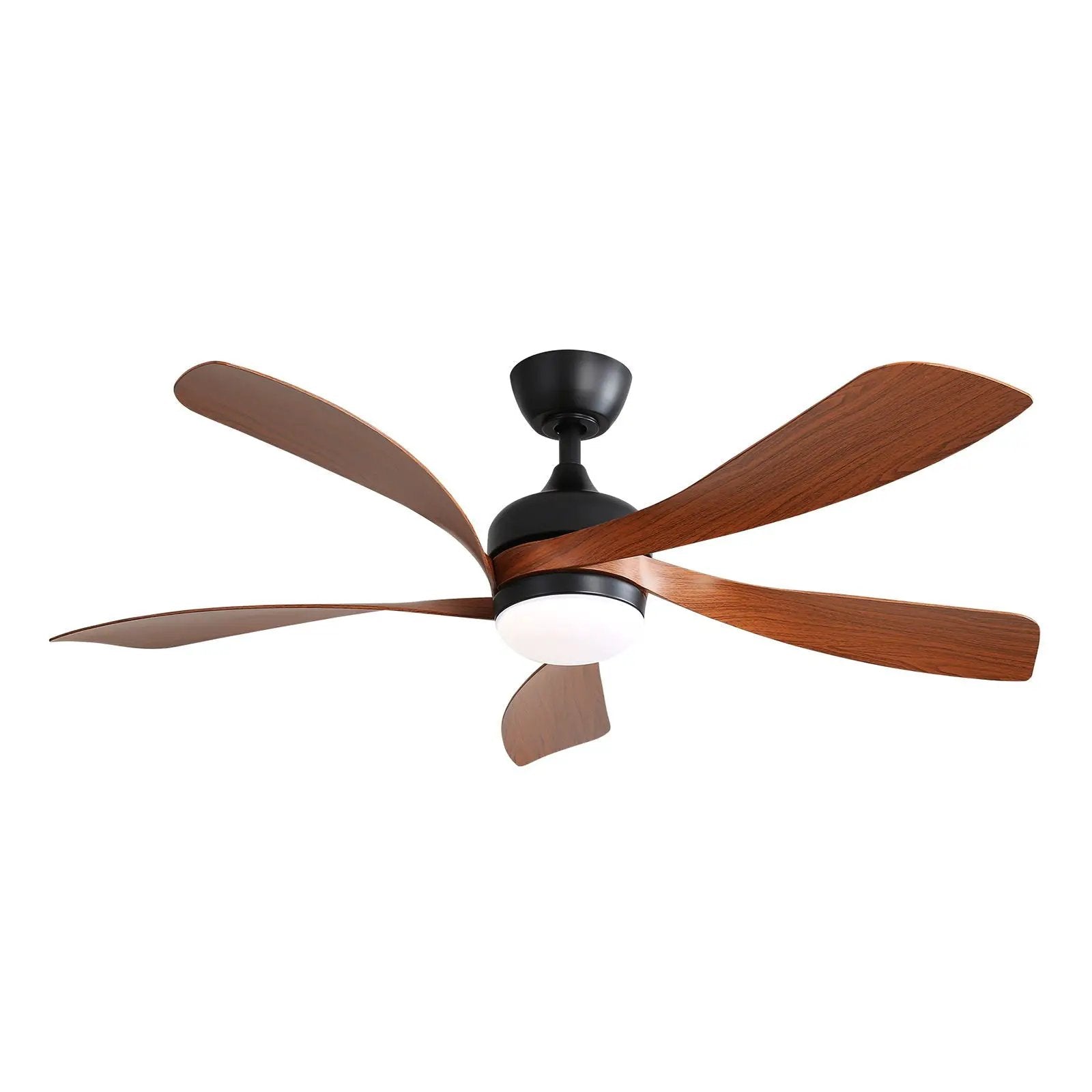 Ceiling fan with five walnut blades, black motor housing and integrated light on Tampa Home & Garden Store