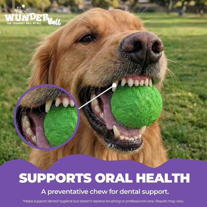 WUNDERball Fetch Toy Natural Rubber Ball For Dogs