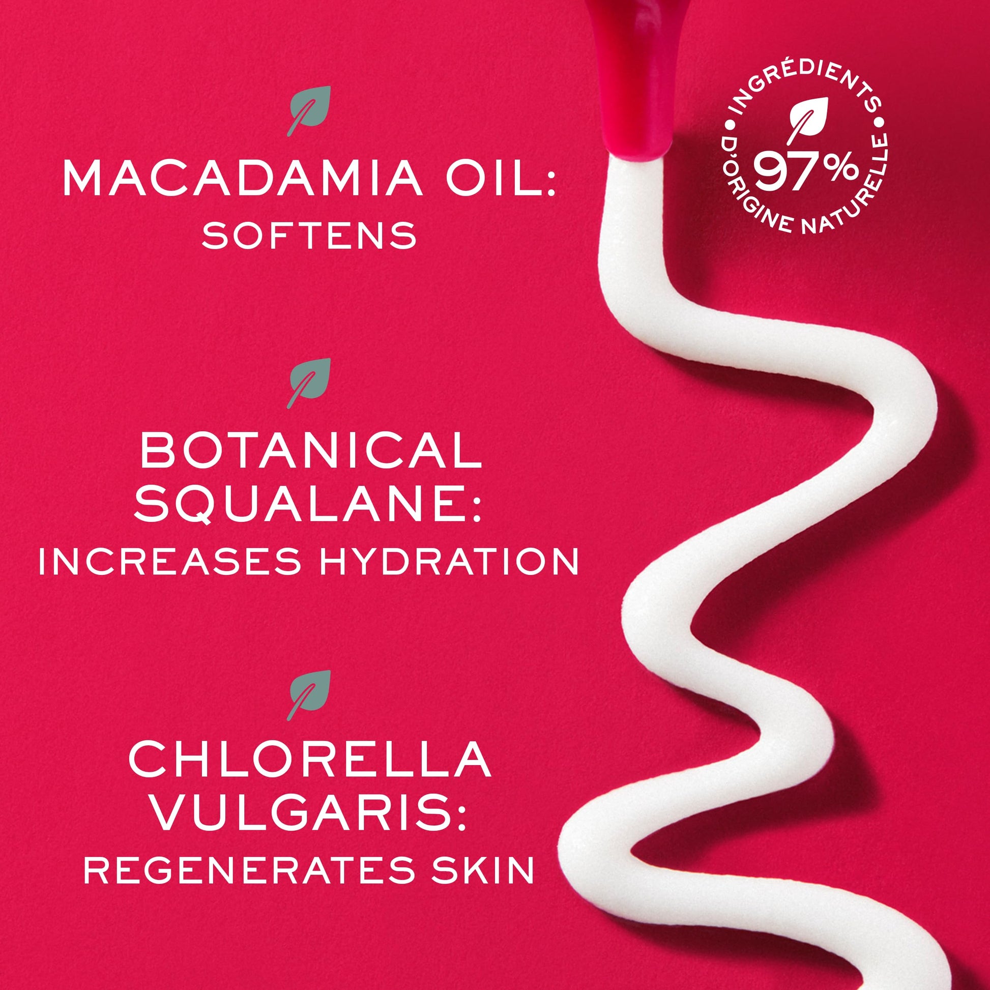 Eye cream ingredients graphic featuring macadamia oil, botanical squalane and chlorella vulgaris on Tampa Home & Garden Store