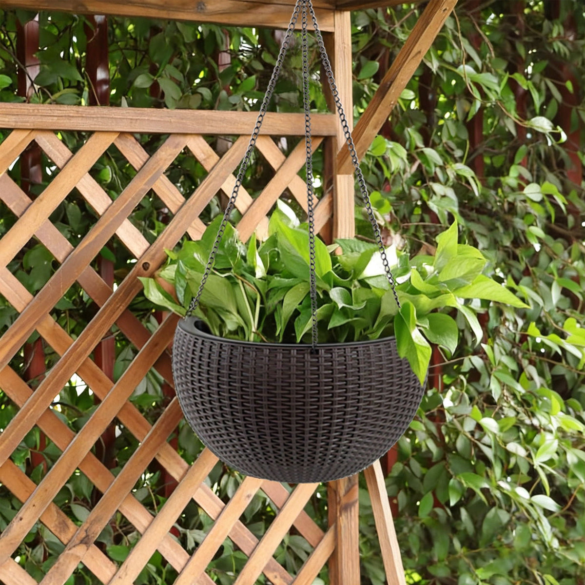 HouseOfZazla self watering hanging planter dark gray basket with chain hanger lush green leaves on Tampa Home & Garden Store