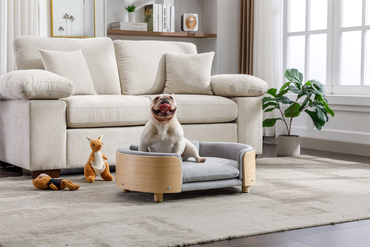 HouseOfZazla Scandinavian elevated dog bed with light grey velvet cushion on wood frame on Tampa Home & Garden Store