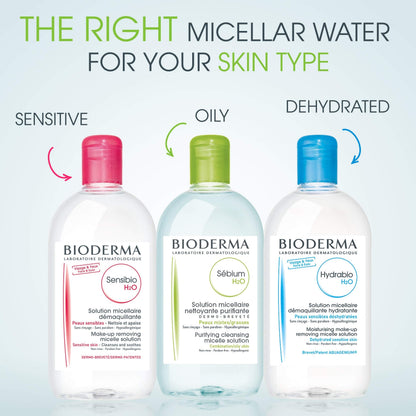 Bioderma Sebium skincare set for oily skin with 3 bottles: micellar water & foaming gel on Tampa Home & Garden Store