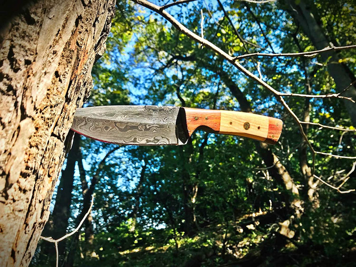 9in TD-087 knife by Titan International K with Damascus blade and two-tone wood handle on Tampa Home & Garden Store