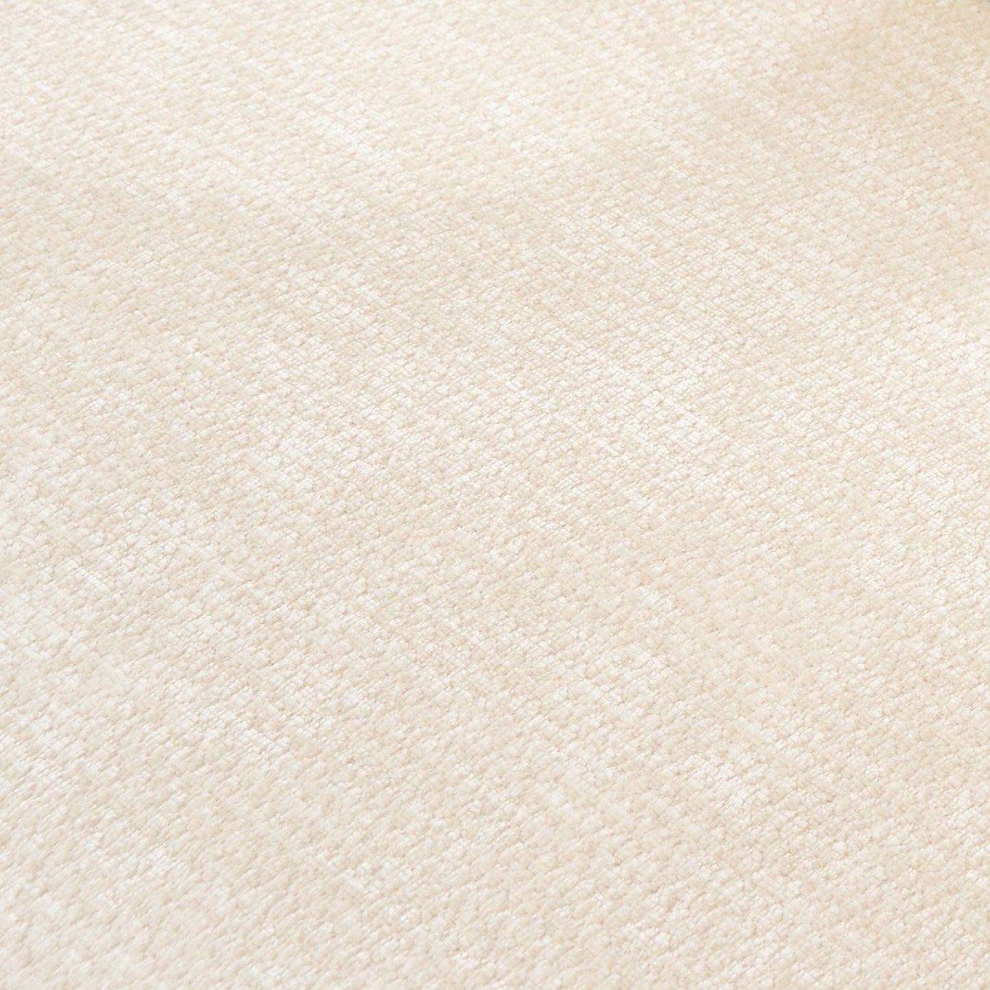 Beige textured carpet background with soft neutral pile on Tampa Home & Garden Store