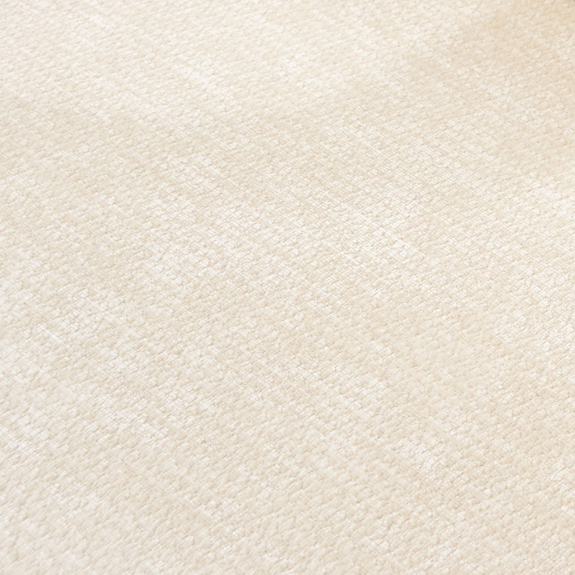 Beige textured carpet background with soft neutral pile on Tampa Home & Garden Store