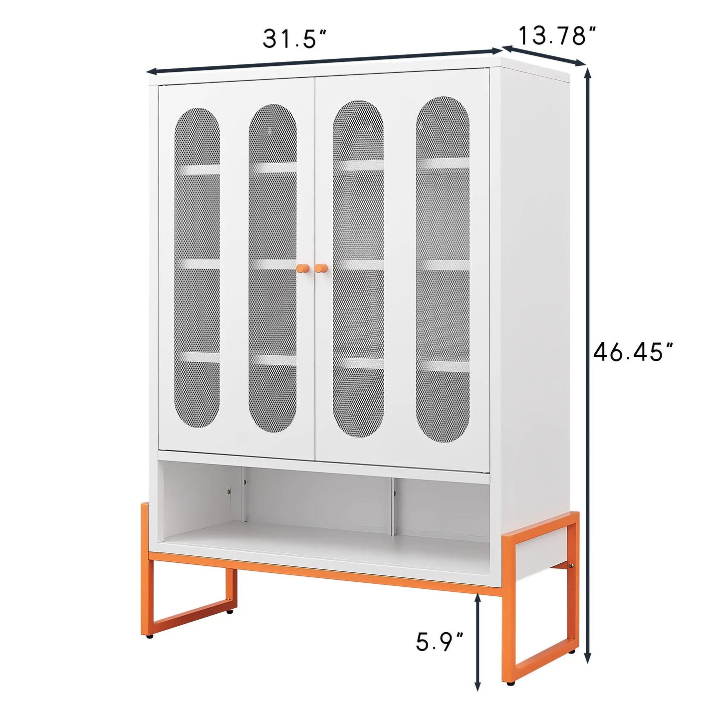 Modern Metal Shoe Cabinet with Double-Sided Doors