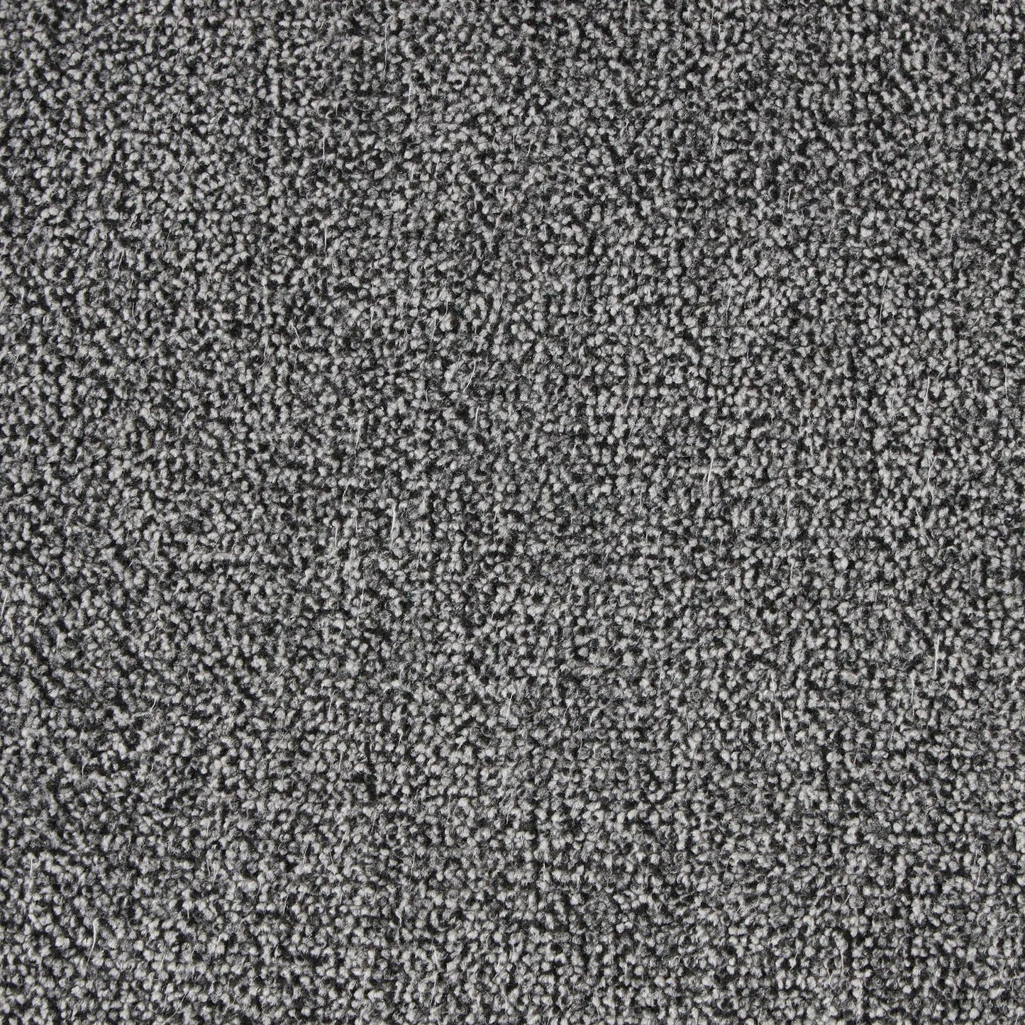 Gray textured carpet close-up with loop pile pattern on Tampa Home & Garden Store